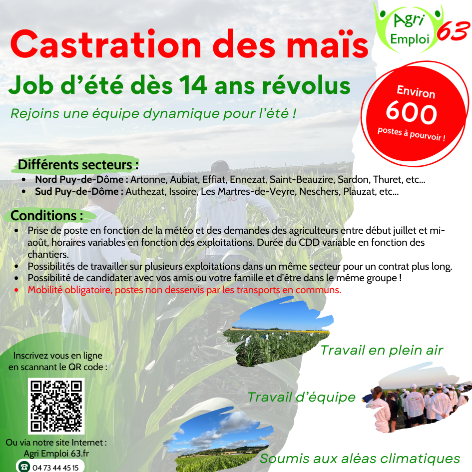 Agri Emploi 63 recrute 600 saisonniers pour l'été 2026 dans le Puy-de-Dôme
